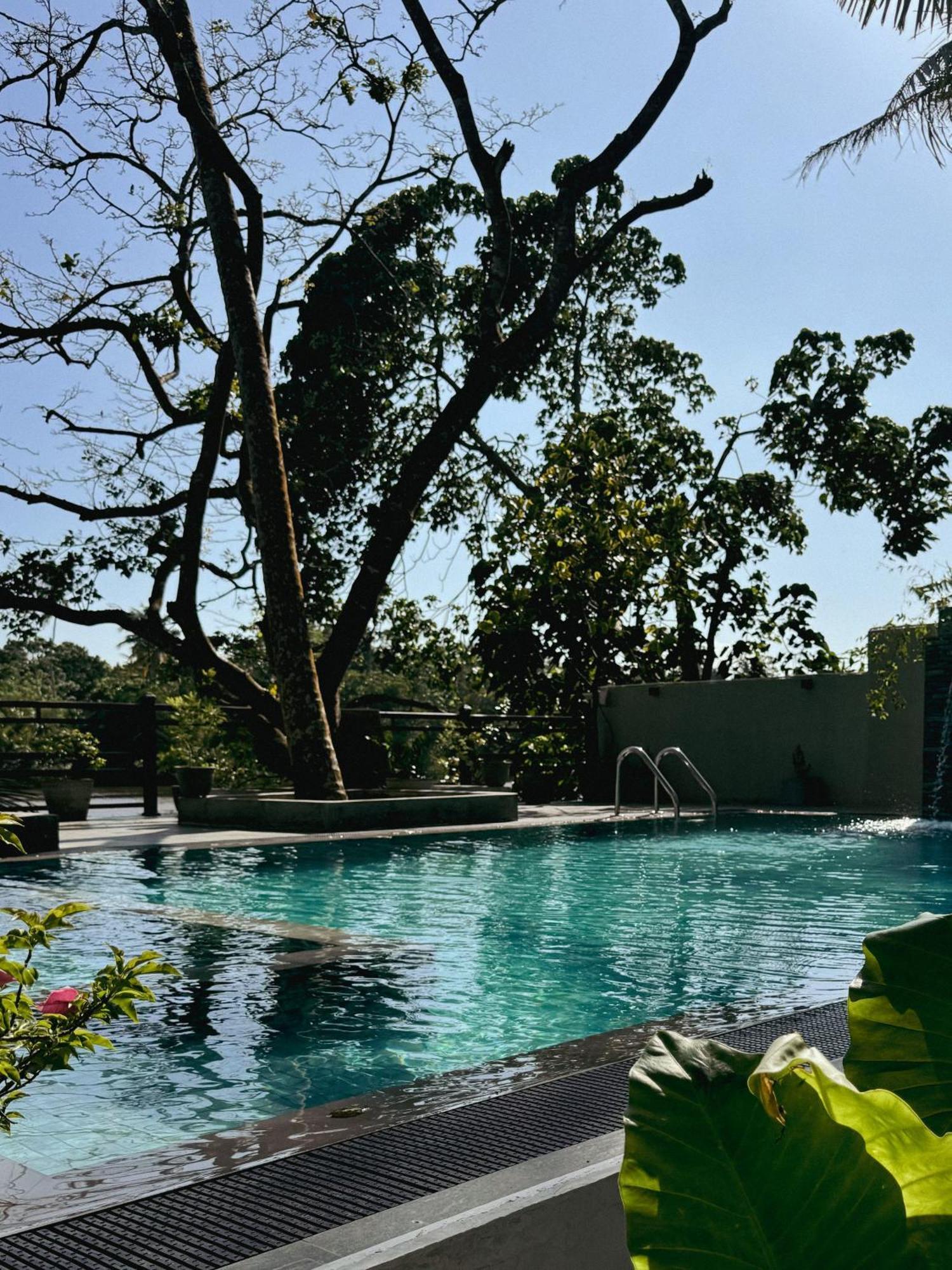 Sapiens Home - Weligama Bay Exteriör bild