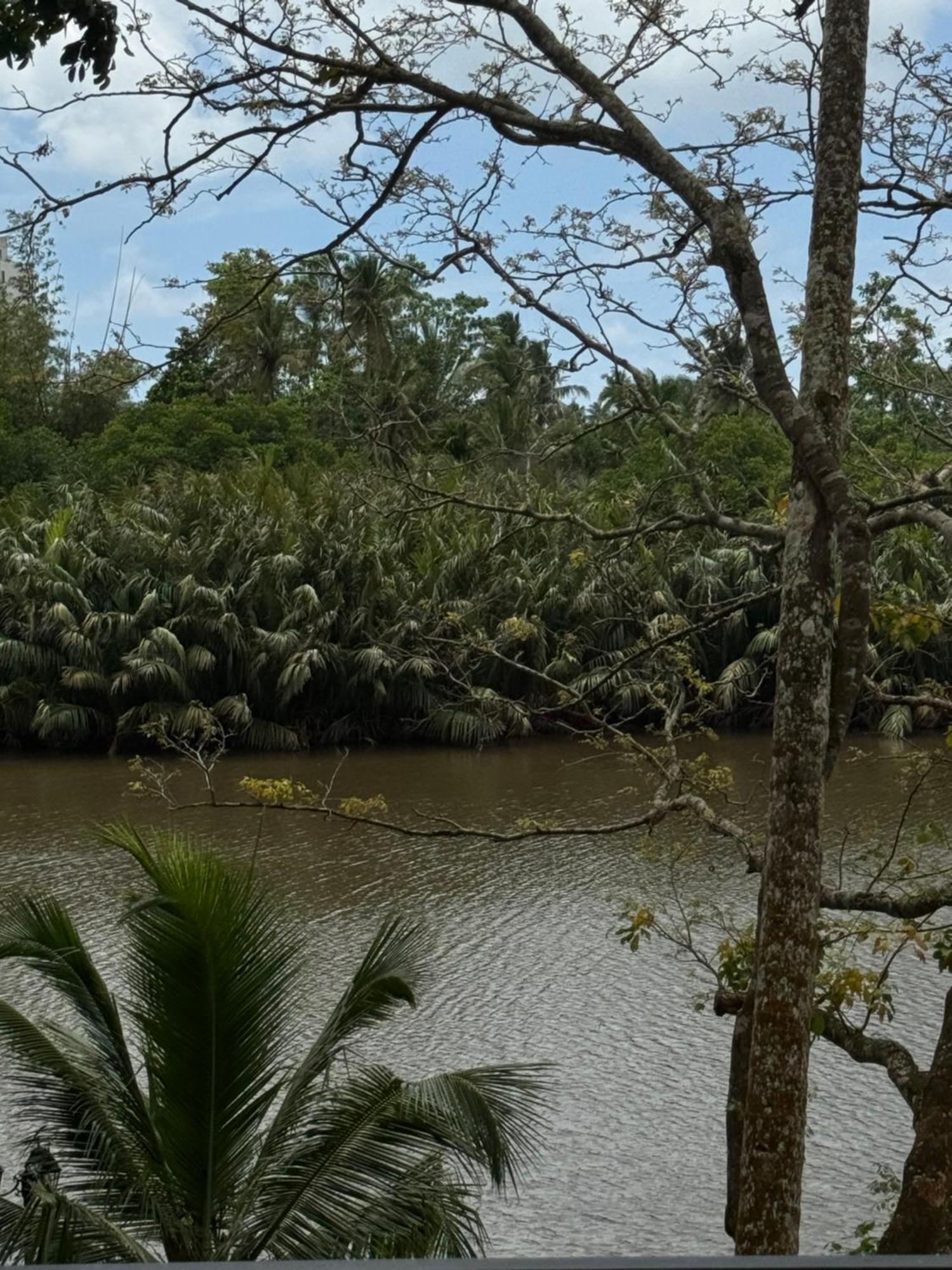 Sapiens Home - Weligama Bay Exteriör bild